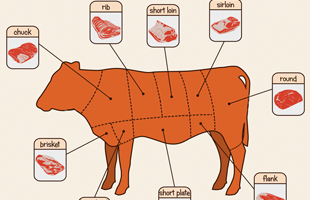 An Introduction to the Different Cuts of Meat