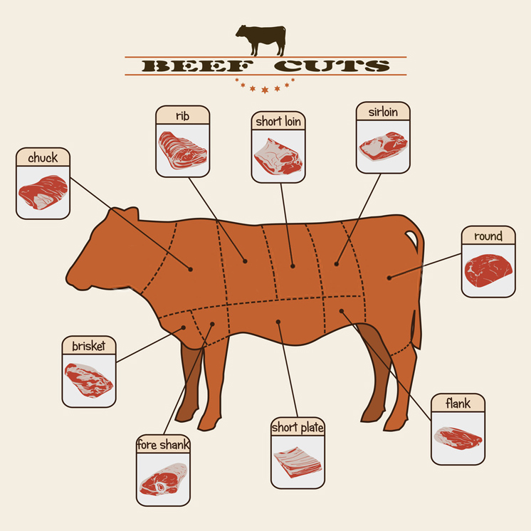 An Introduction to the Different Cuts of Meat