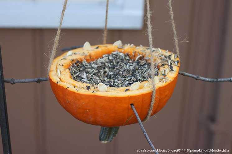 Ways to Recycle your Decorative Squash this Season