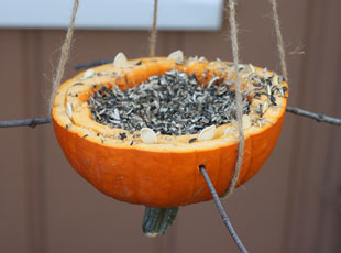 Ways to Recycle your Decorative Squash this Season
